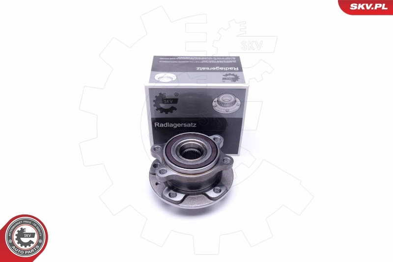 Wheel Bearing Kit